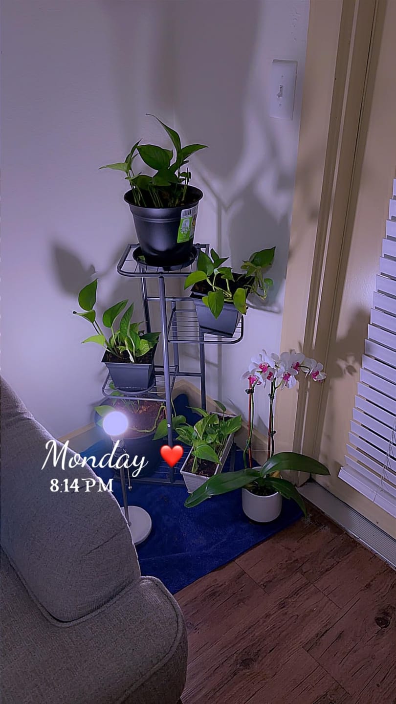 Customer photo review of Plant Stand Metal 6 Tier 7 Potted Multiple Flower Pot Holder Shelf Indoor Outdoor Planter Display Shelving Unit For Patio Garden Corner