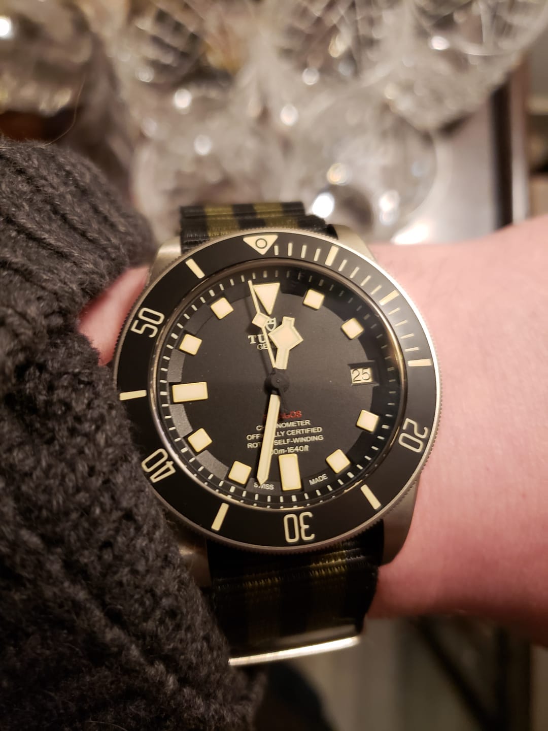 Customer photo review of Black and Green Striped Nylon Single-Piece