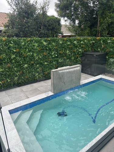 Customer photo review of Wild Tropics Artificial Vertical Garden / Fake Green Wall 1m x 1m UV Resistant