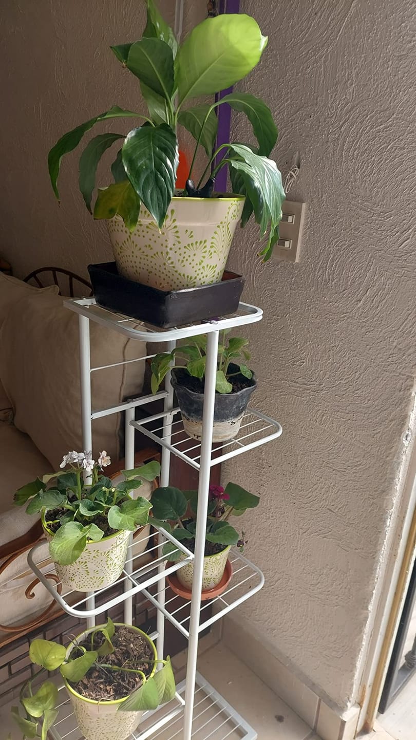 Customer photo review of Plant Stand Metal 6 Tier 7 Potted Multiple Flower Pot Holder Shelf Indoor Outdoor Planter Display Shelving Unit For Patio Garden Corner