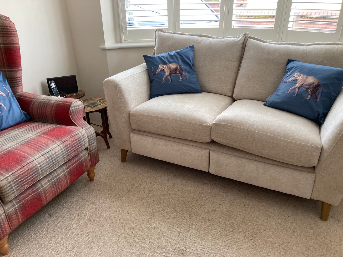 Customer photo review of Elephant | Sustainable Velvet Cushion