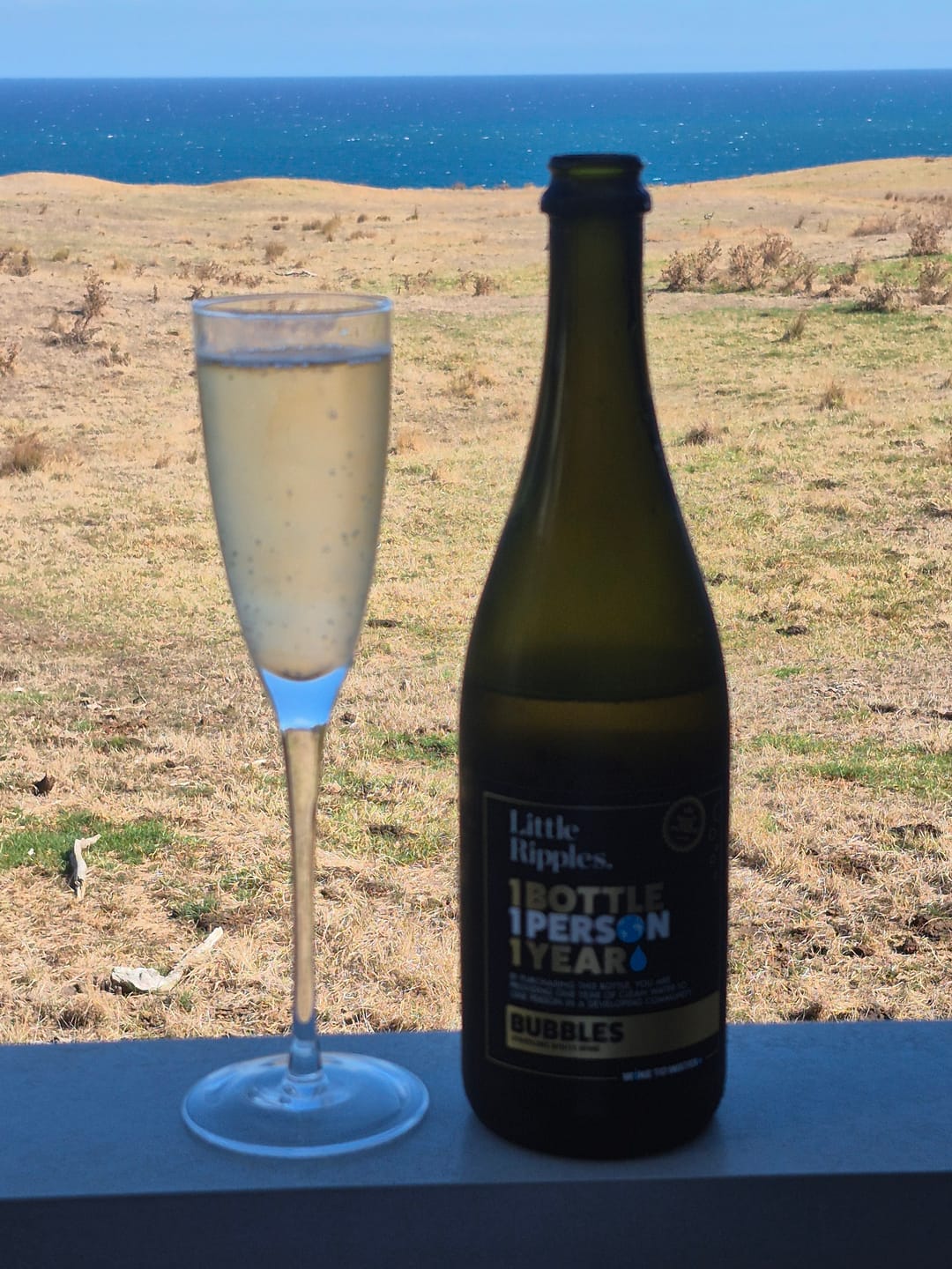 Customer photo review of Sparkling - 6pk