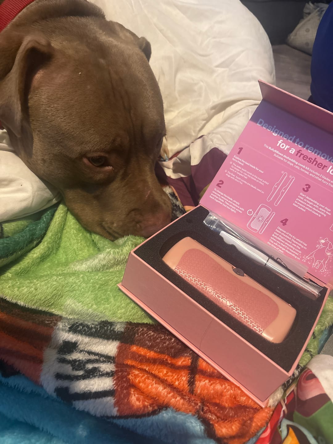 Customer photo review of Dog Deshedding Comb - Dog, Horse & Cat - Pink