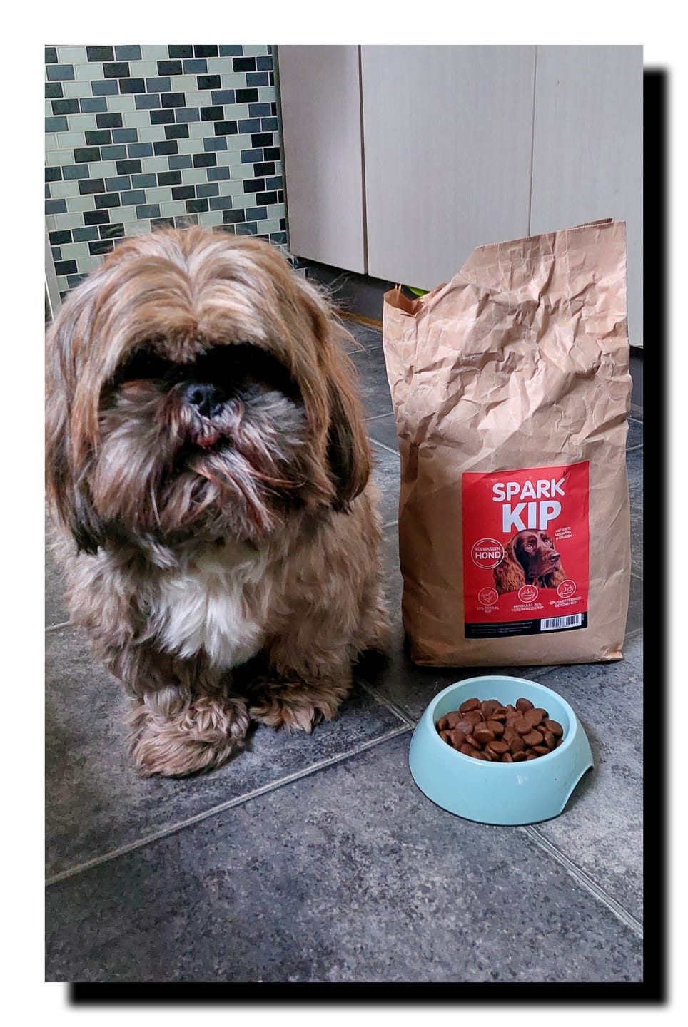 Customer photo review of Volwassen - Kip met Zoete Aardappel & Kruiden