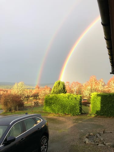 Customer photo review of 2-Month Mushroom Gummies