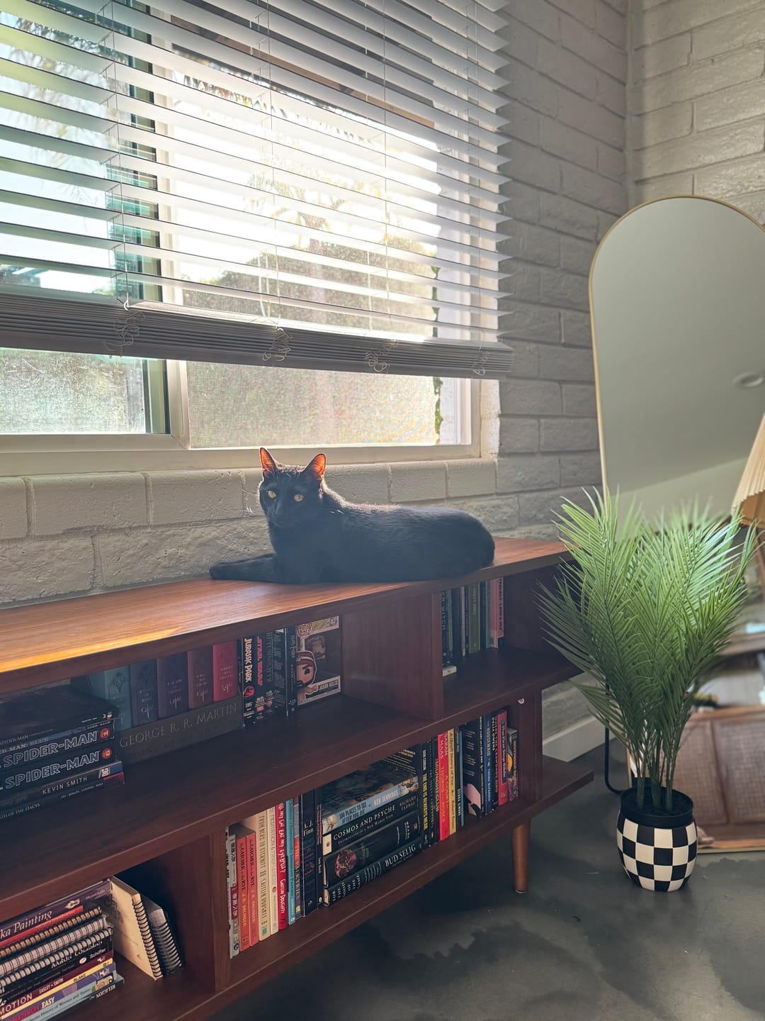 Customer photo review of Johann Banta Irregular Orange Moss Design Rug