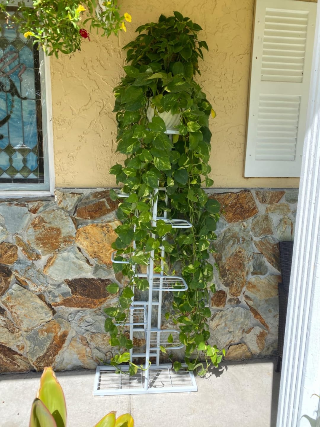 Customer photo review of Plant Stand Metal 6 Tier 7 Potted Multiple Flower Pot Holder Shelf Indoor Outdoor Planter Display Shelving Unit For Patio Garden Corner