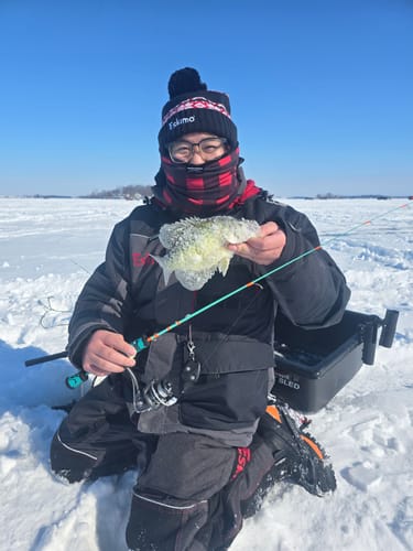 Customer photo review of Custom Power Noodle