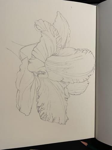 Customer photo review of Sketchbook 'First 20 Years'
