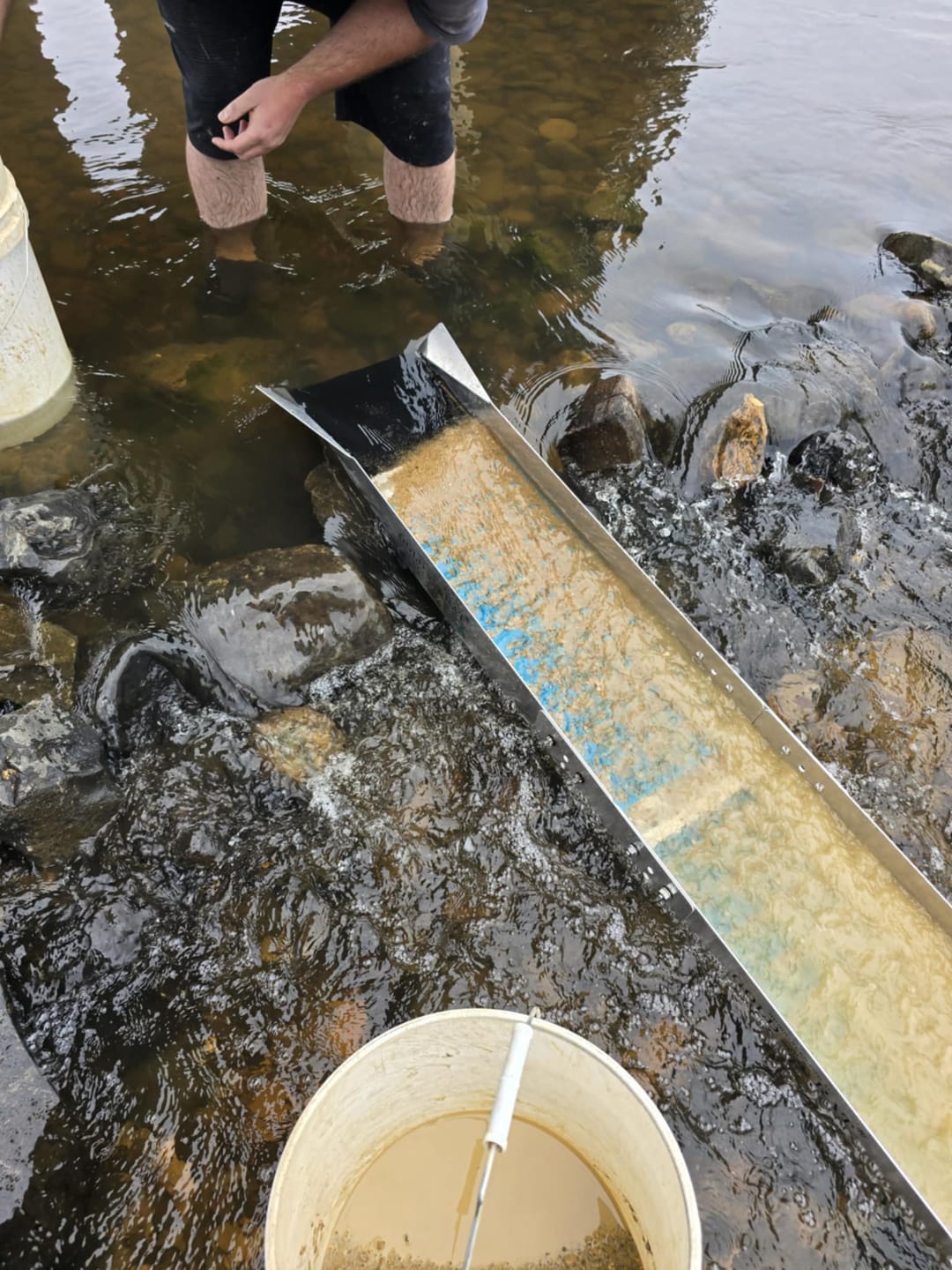 Customer photo review of 1088 Gold Rat sluice - with Mini cell Dream mat
