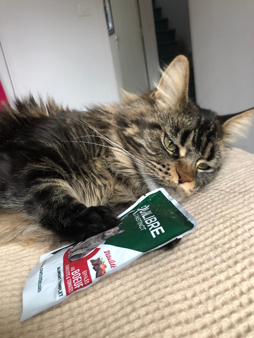 Customer photo review of Multipack d'effilés (chat stérilisé et chat adulte)