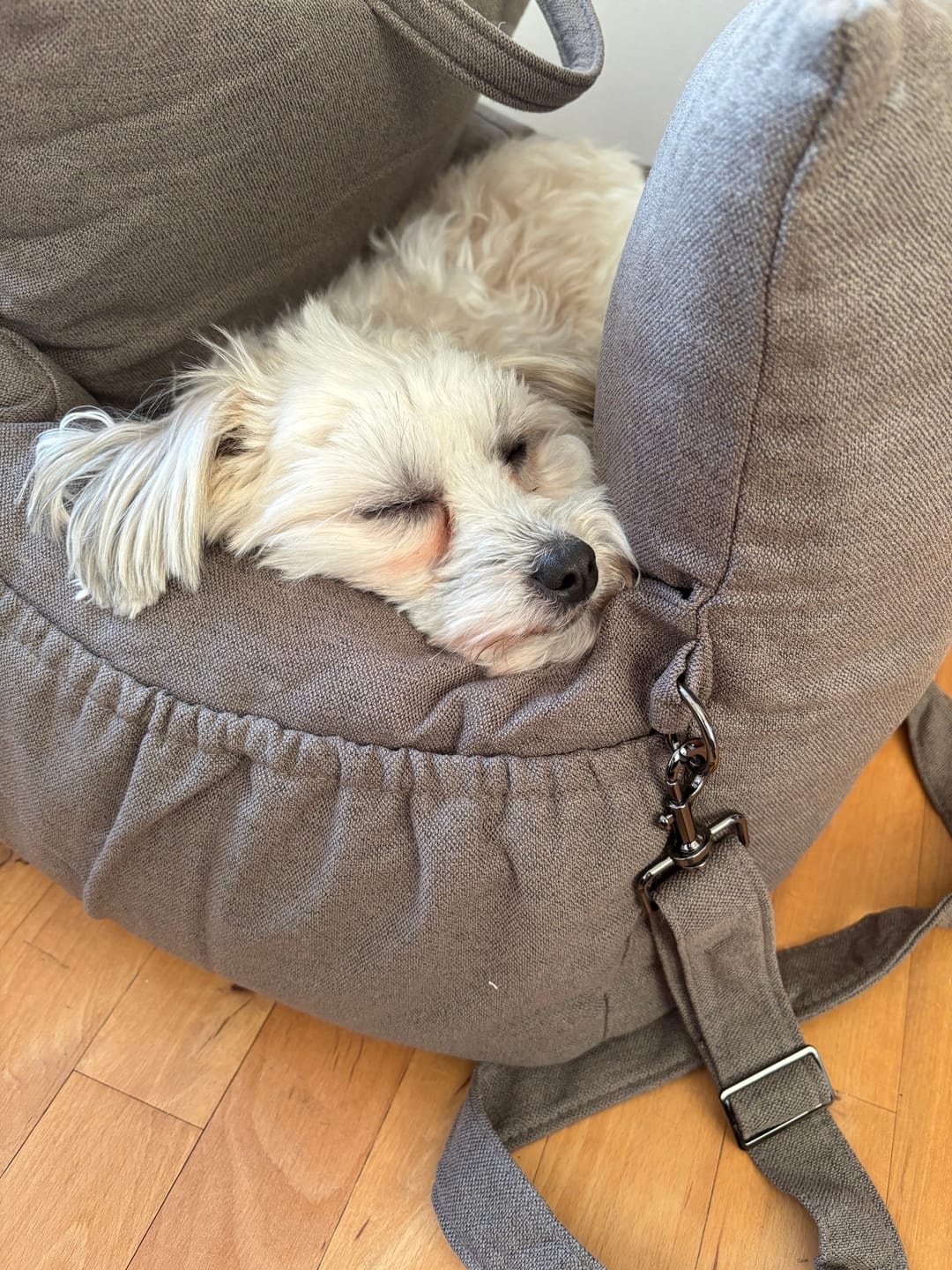Customer photo review of Staey - Lara 3-i-1 Bilsæde, Taupe