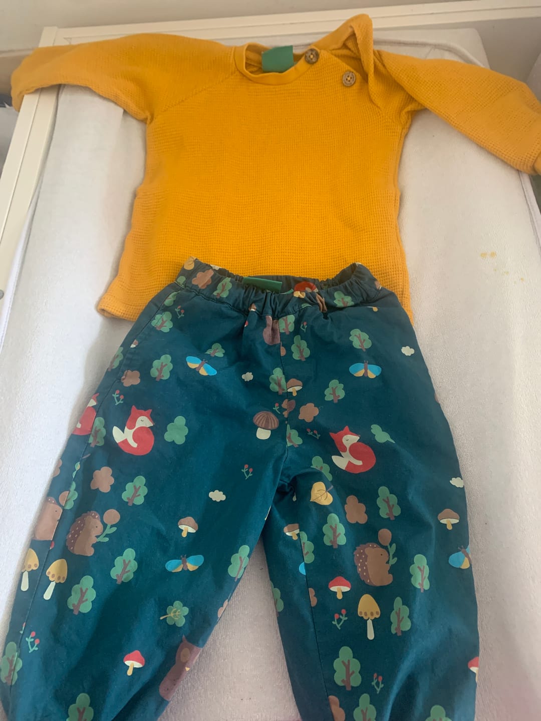 Customer photo review of Enchanted Forest Cosy Parachute Joggers