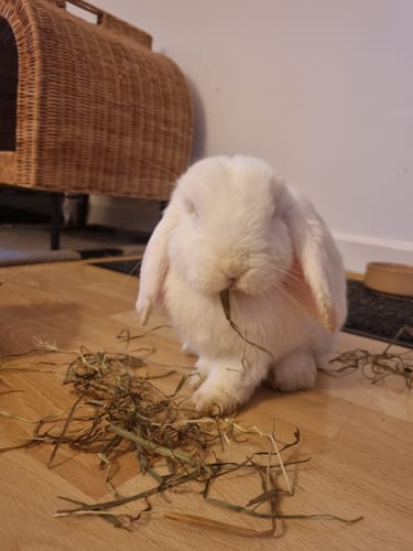 Customer photo review of Taster Pack