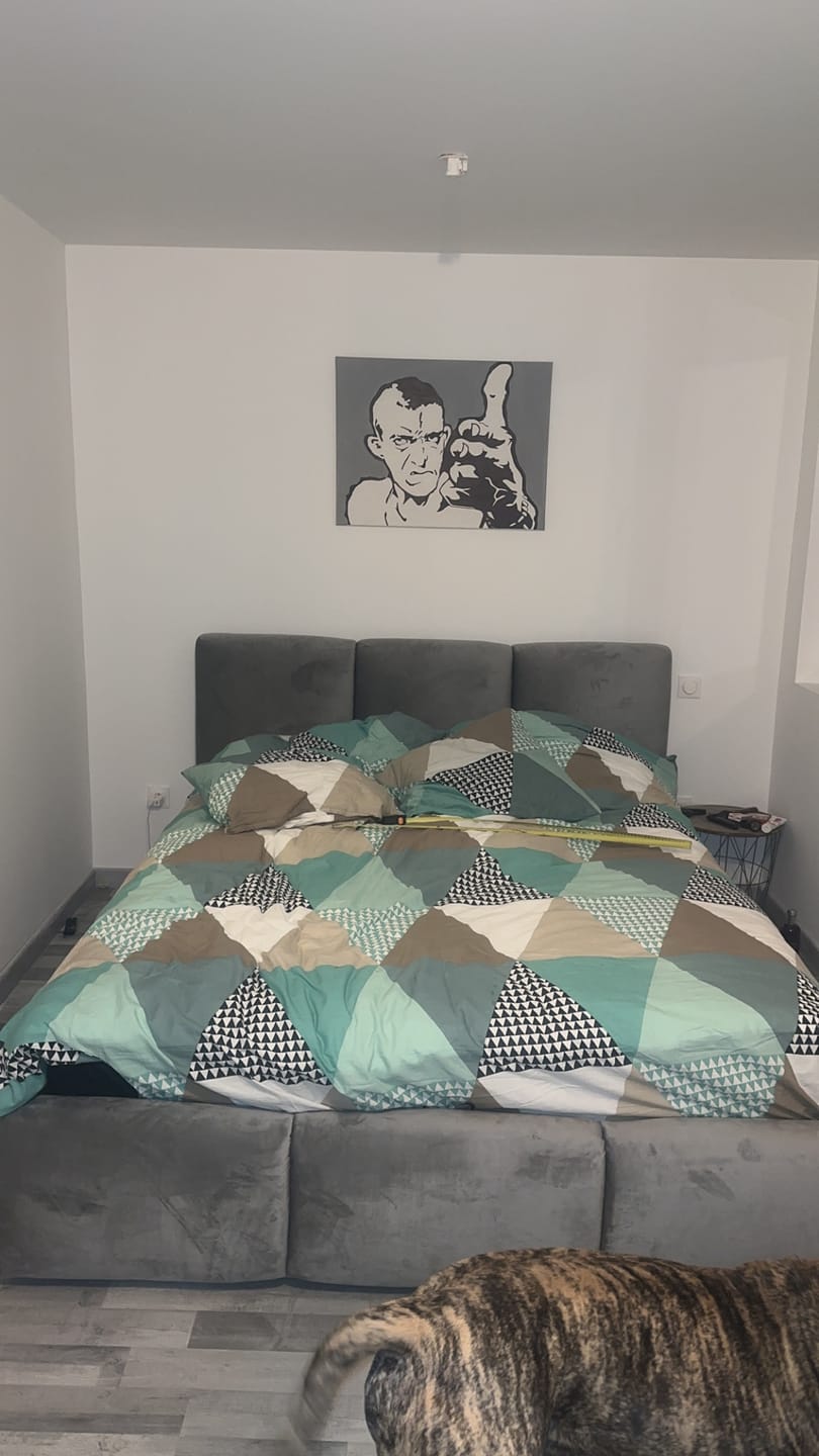 Customer photo review of Lit rembourré avec coffre de rangement - SOPHIE