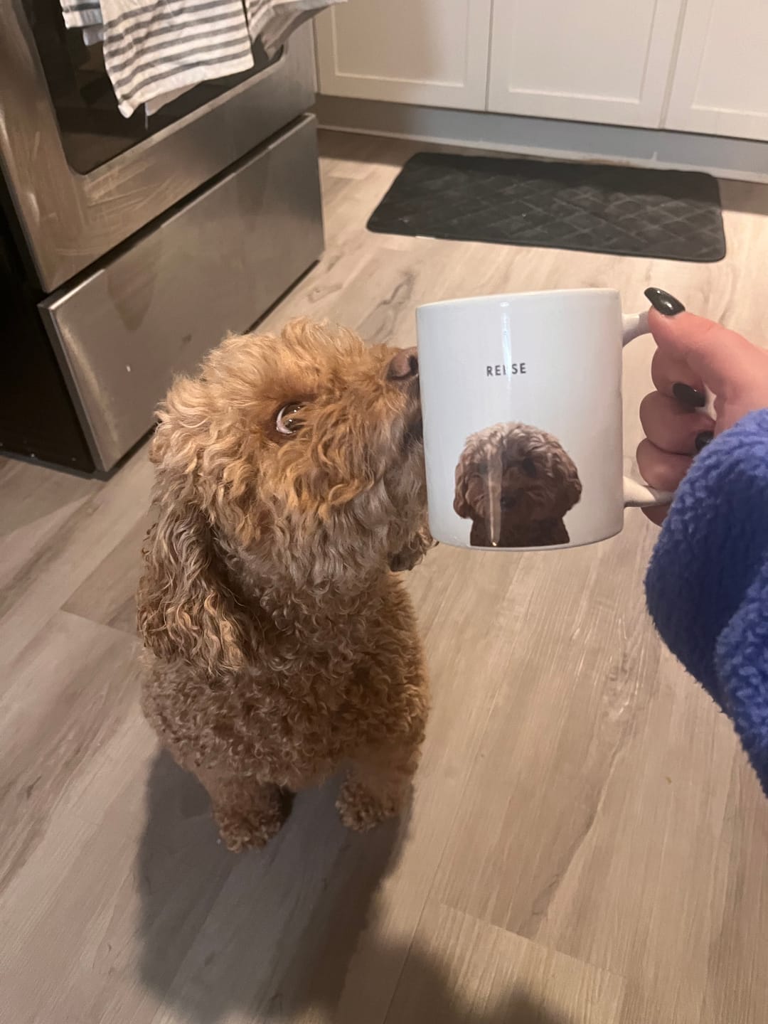 Customer photo review of Custom Pet Portrait Mug