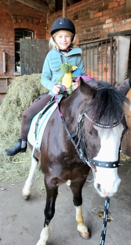 Customer photo review of Strotonin Horse Support