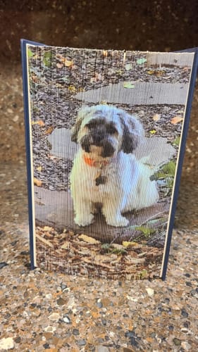 Customer photo review of Maker's Magic Gloss - Buy 1, Get 1 FREE