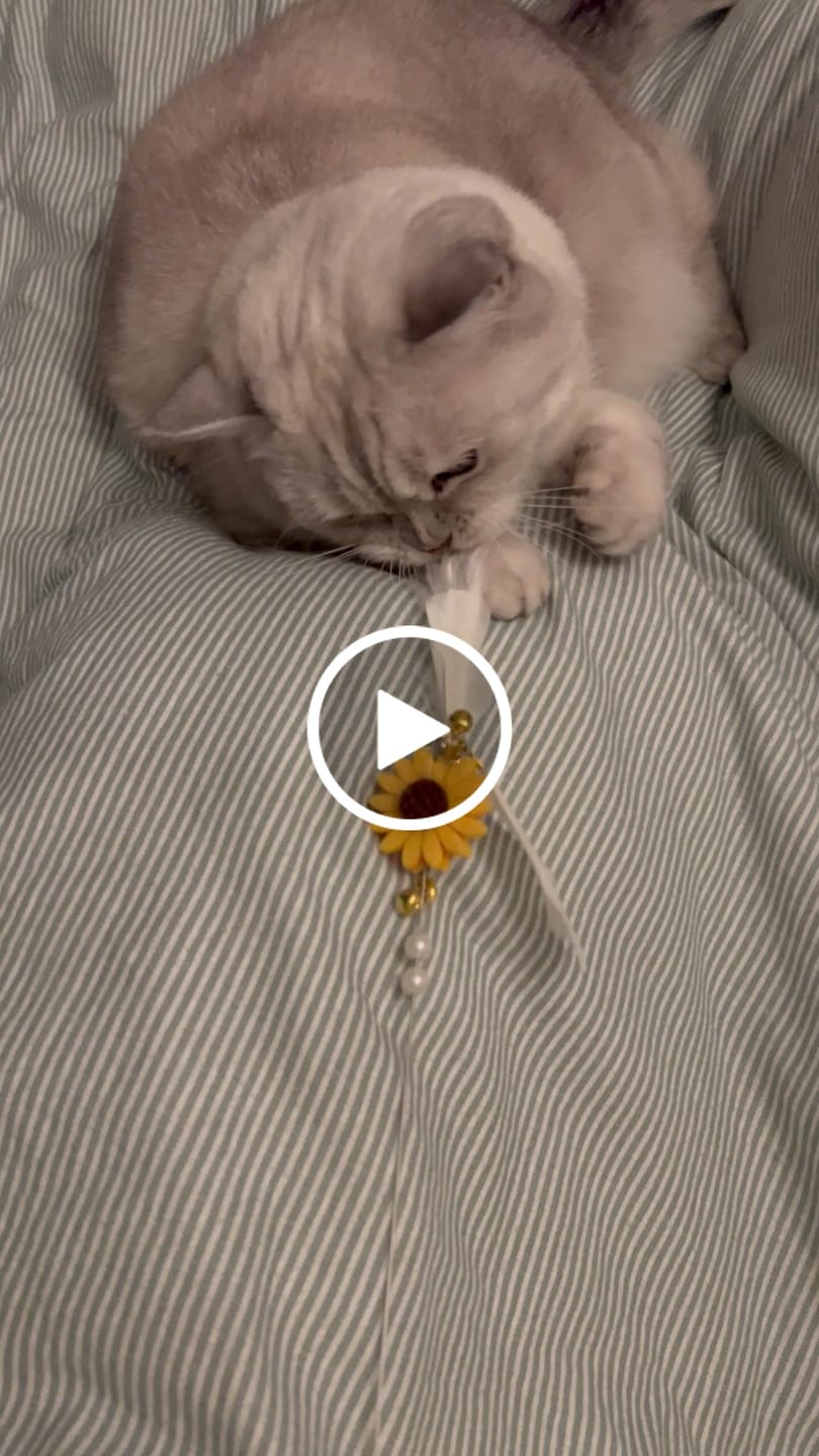 Customer video review of Sunflower tassel viftepinne u/ bjelle