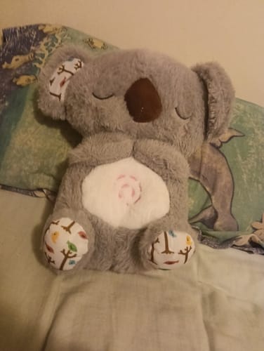 Customer photo review of The Breathing Koala