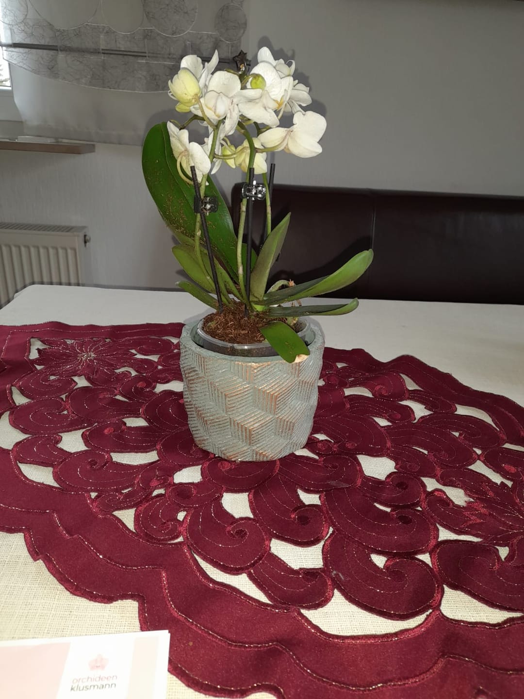 Customer photo review of Table Dance Weiß mit weißen Blüten und 3 Rispen