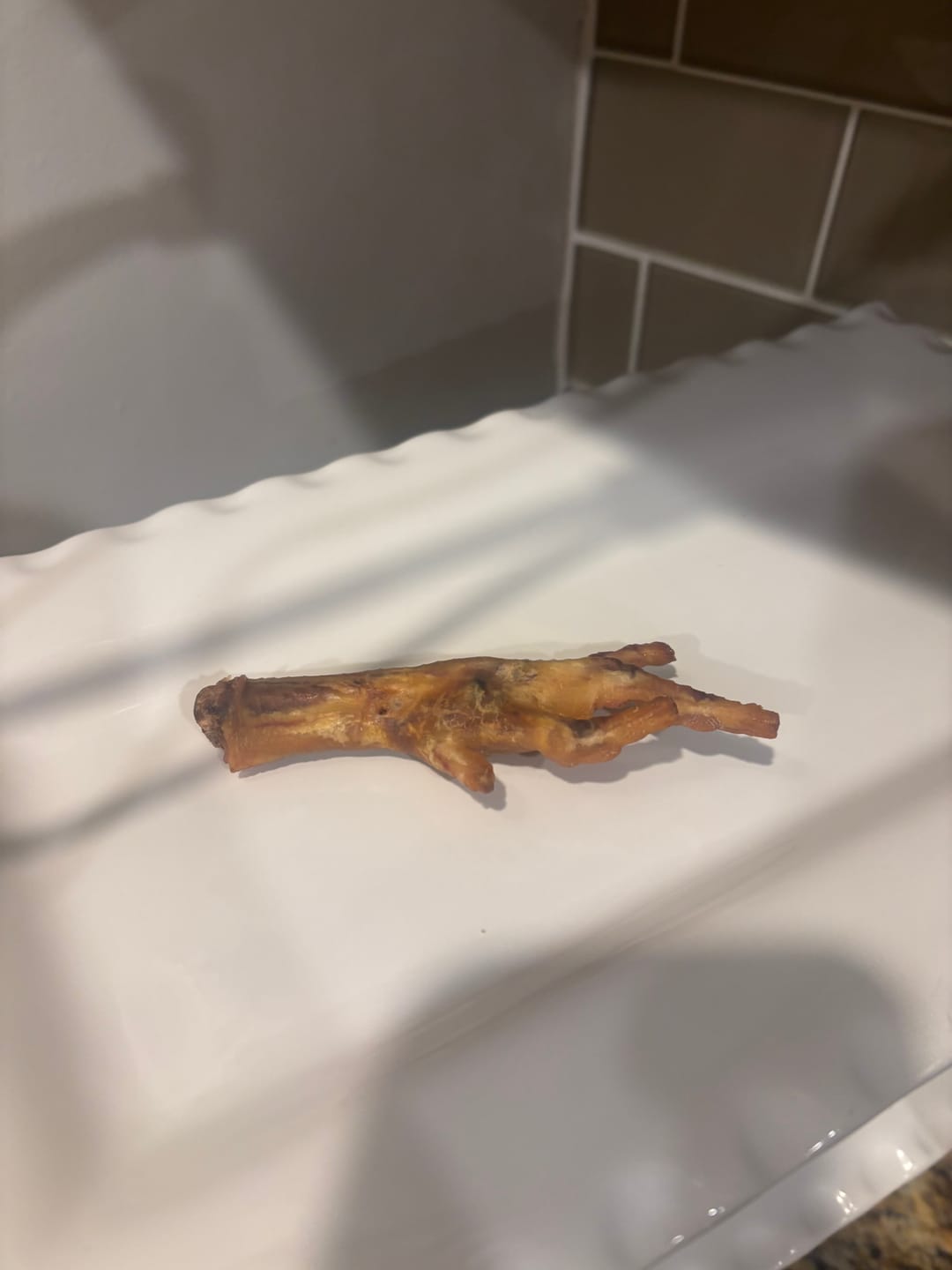 Customer photo review of Chicken Feet for Dogs