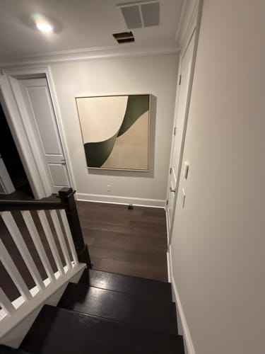 Customer photo review of Forest Flow Canvas Art