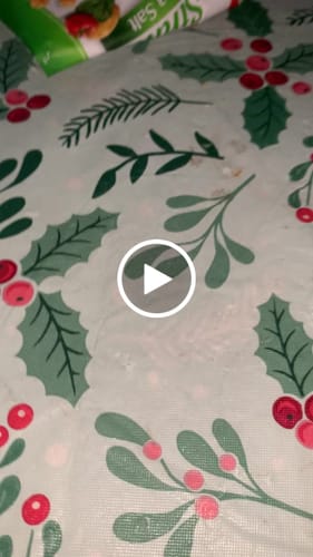 Customer video review of Nugget Reserve 'MUSEUM SPECIMEN CHASE' - Gold Panning Paydirt Concentrate