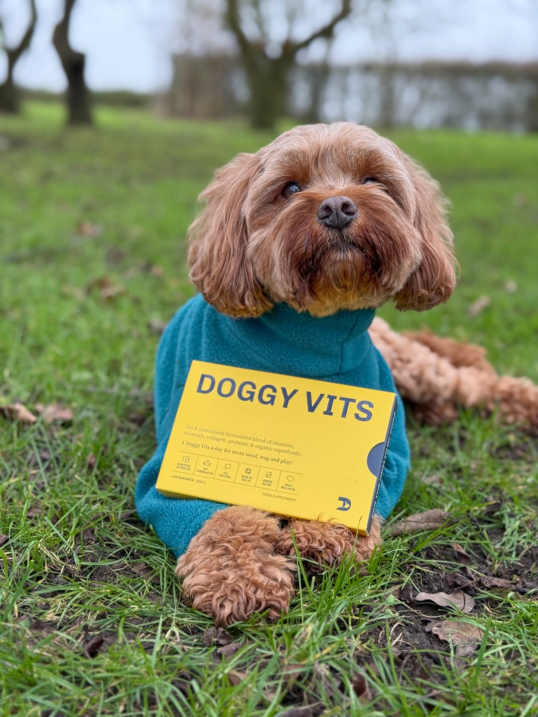 Customer photo review of DOGGY VITS WELCOME OFFER (Wellness box) x30 Sachets