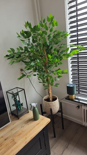 Customer photo review of 10 liter Frans Boomschors