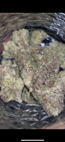 Customer photo review of Biscotti