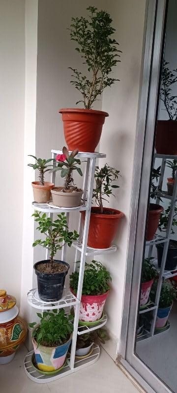 Customer photo review of Plant Stand Metal 6 Tier 7 Potted Multiple Flower Pot Holder Shelf Indoor Outdoor Planter Display Shelving Unit For Patio Garden Corner
