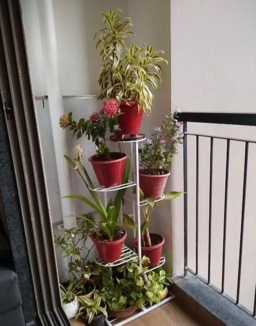 Customer photo review of Plant Stand Metal 6 Tier 7 Potted Multiple Flower Pot Holder Shelf Indoor Outdoor Planter Display Shelving Unit For Patio Garden Corner