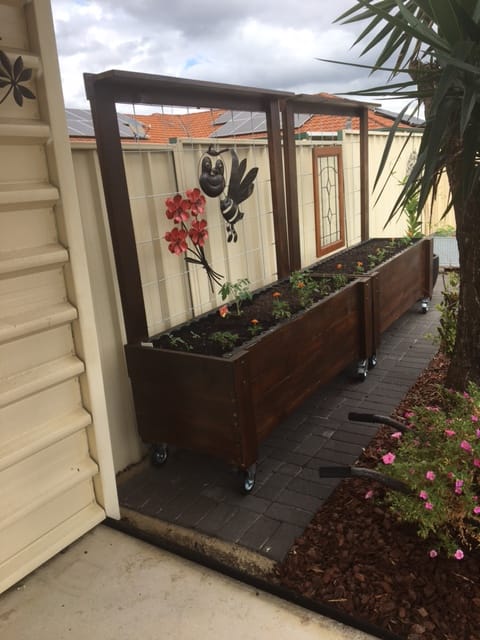 Customer photo review of LARGE Planter Box with Trellis, Pot Shelf & Wheels - Timber 157x60x50cm(h)