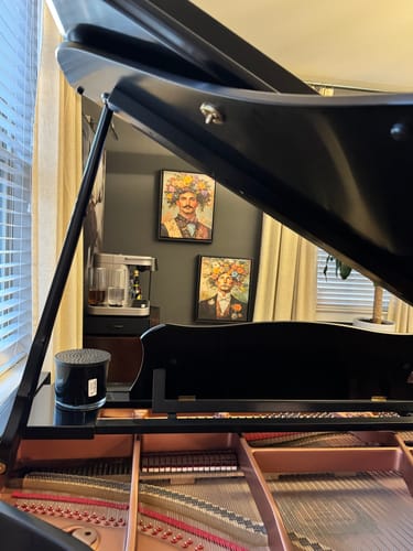 Customer photo review of Victorian Gentleman Print