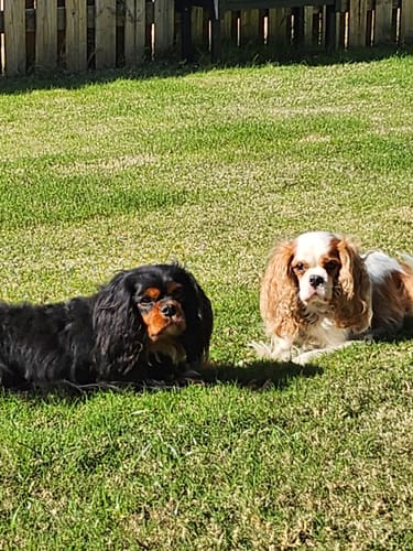 Tina Q. review of Taste Testing Bundle image 1 out of 1