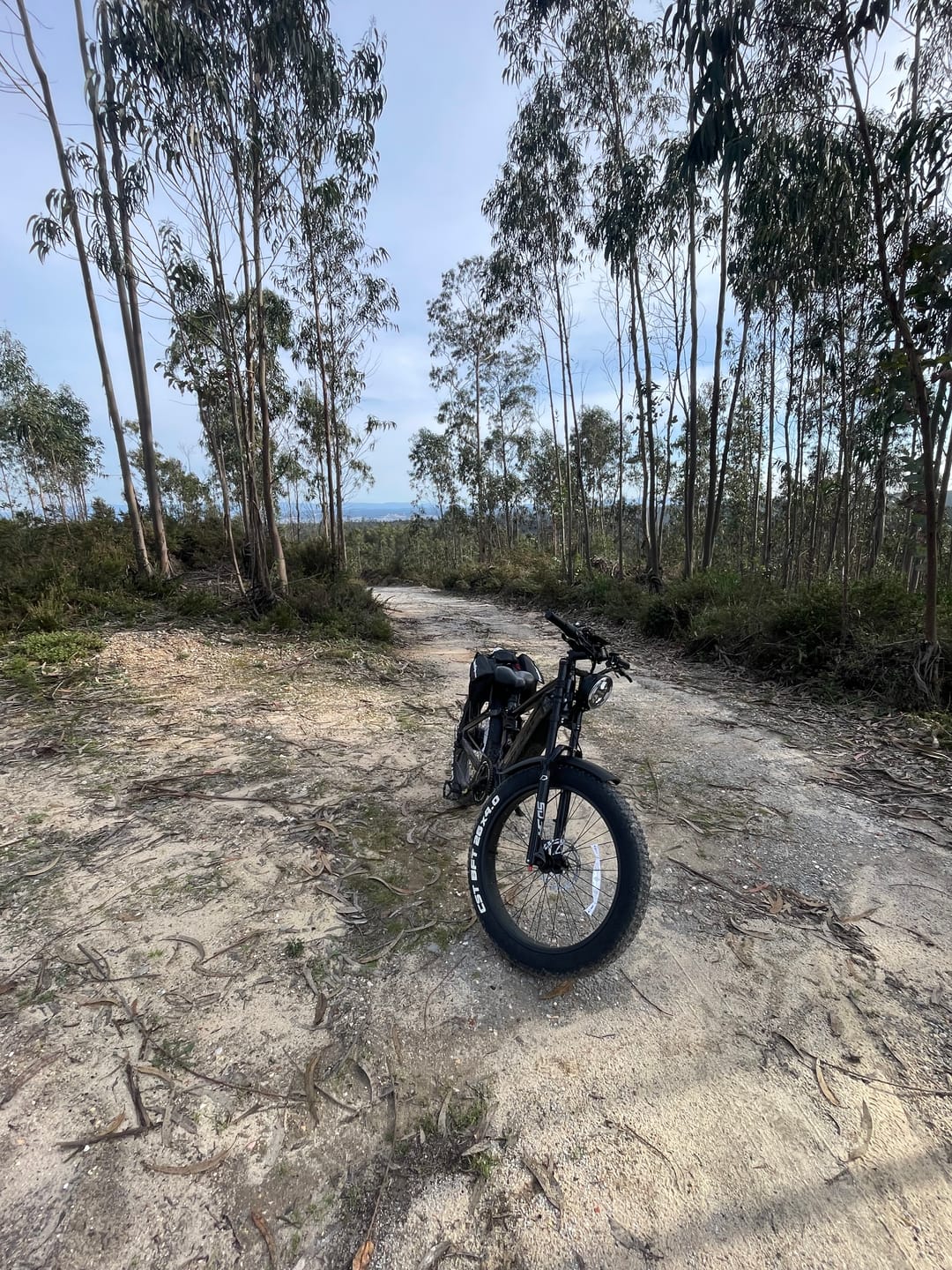 Customer photo review of Rear Rack + Rear Tail Light (for T7)