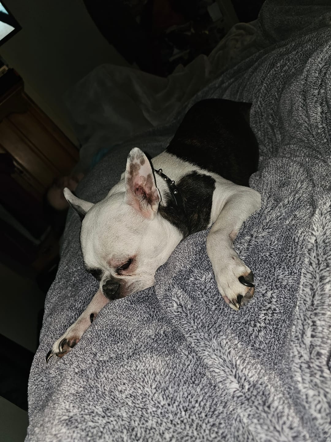 Customer photo review of DOLORES (Douleur)
