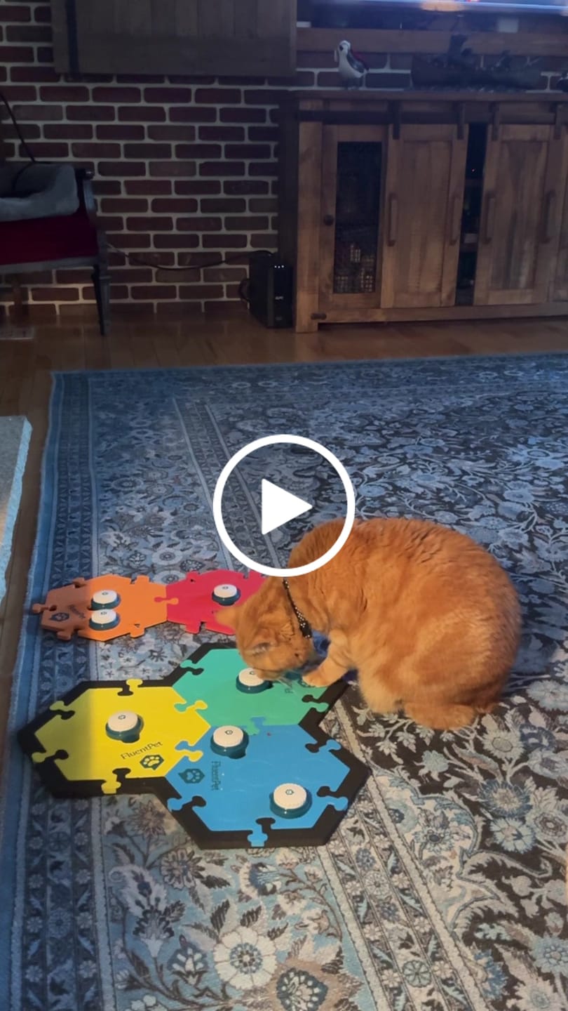 Customer video review of Speak Up Key Vocab Kit