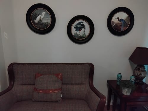 Customer photo review of C.1838 Audubon's Herons - Round Frame