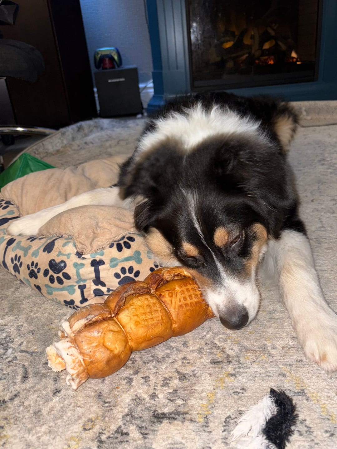 Customer photo review of 10-12 Inch Peanut Butter Cheek Roll