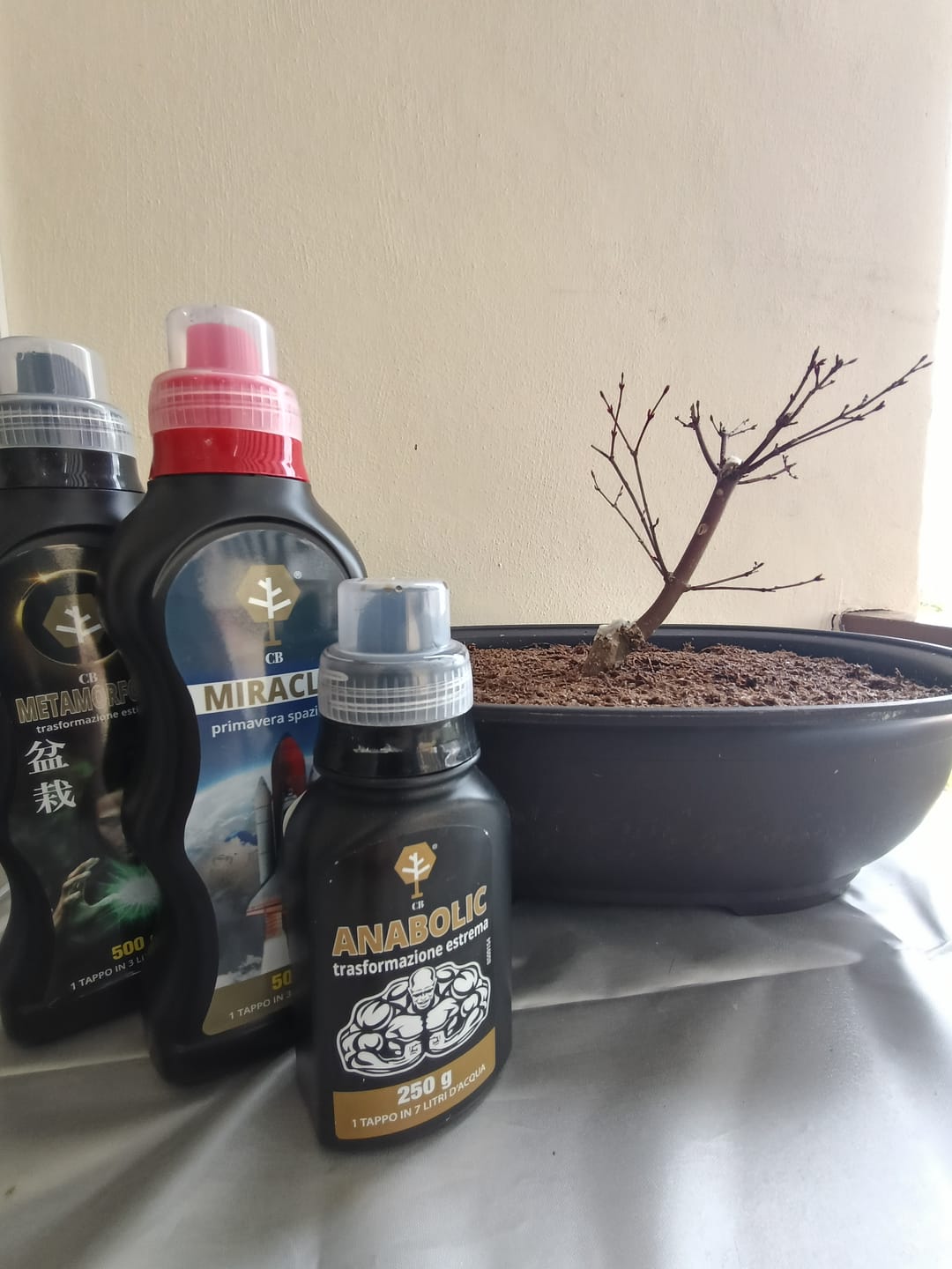 Customer photo review of SUPREMACY CB® (substrato premium ad alte prestazioni)