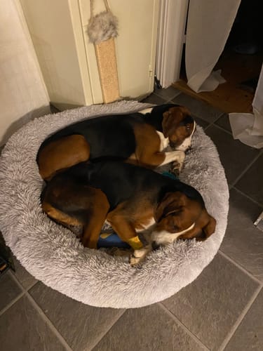 Customer photo review of CalmBed - Motverkar stress & hjälper mot ångest