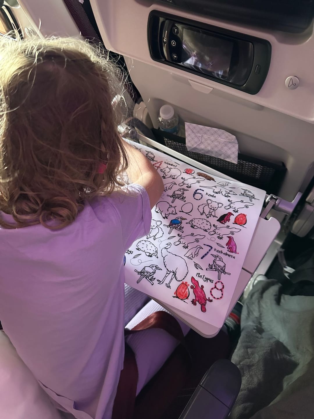 Customer photo review of ➕ Classic Colouring & Doodle Mat (Single Mat Only)