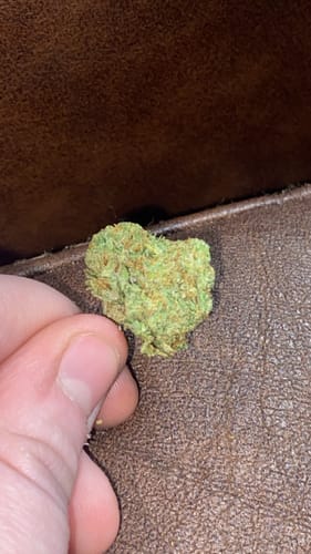 Customer photo review of Purple Push Pop -THCa Flower