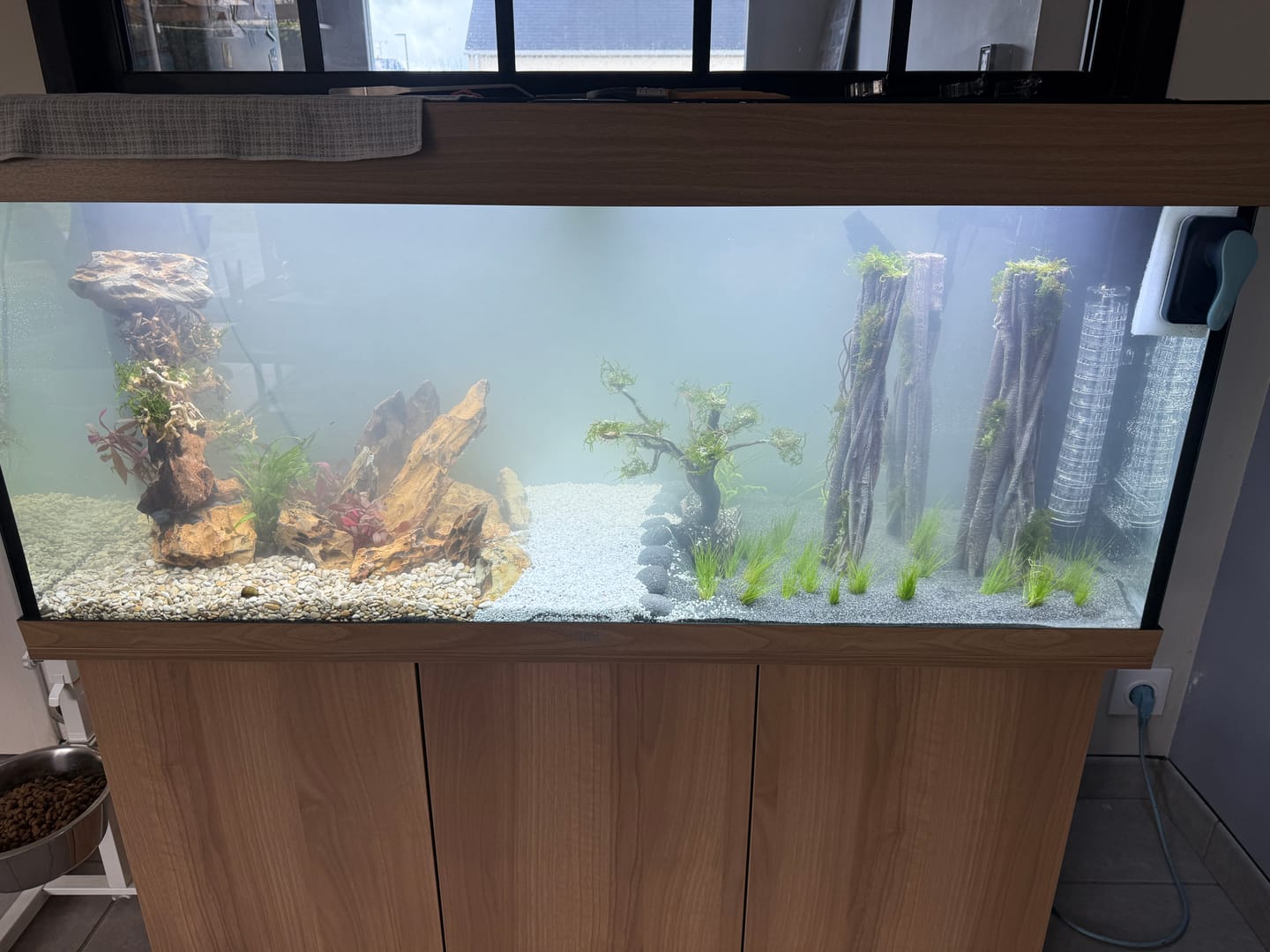 Customer photo review of Aquarium Rio 240 LED Chêne Équipé JUWEL - 240L