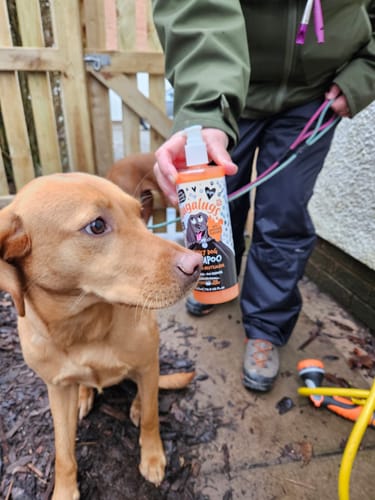 Customer photo review of Stinky Dog Shampoo with Odour Neutraliser