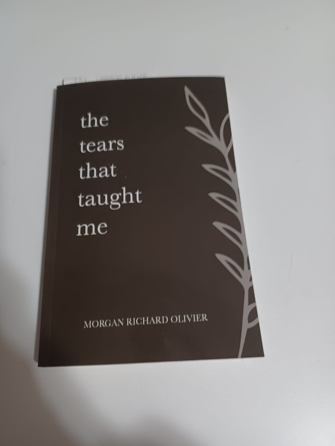 Customer photo review of The Tears That Taught Me