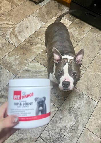 Customer photo review of Hip & Joint Chews (Beef Flavored) Pre-Order (Ships 2/1)