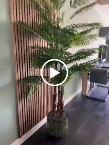 Customer video review of Kunstpalm 210cm